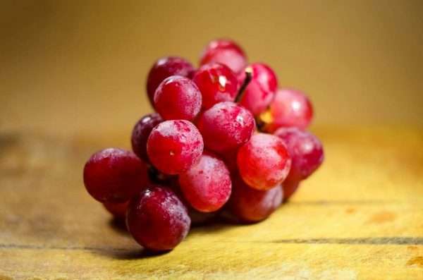 Apa Itu Rasveratrol yang Terkandung Dalam Utsukushii AFC?