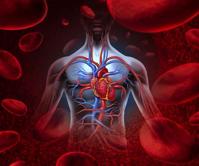 Cegah Bahaya Gangguan Sistem Peredaran Darah Dengan SOP 100