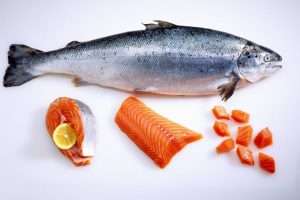 Dapatkan Manfaat Kesehatan dari Ikan Salmon Melalui SOP 100