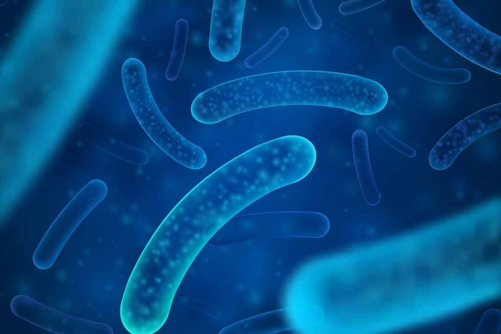 Kenali Lebih Jauh Bifidobakterium Kandungan dari Utsukushhii